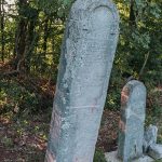 Крајпуташ Драгоју Р. Аврамовићу на пропланку у Гајевима, у Севојну (фото Бојан Радојичић)