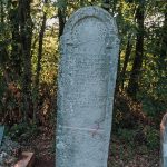 Крајпуташ Драгоју Р. Аврамовићу на пропланку у Гајевима, у Севојну (фото Бојан Радојичић)