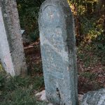 Крајпуташ Неђељку Благојевићу на пропланку у Гајевима, у Севојну (фото Бојан Радојичић)