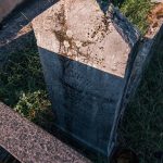 Споменик Малиши Сокићу на гробљу у Рујевцу, Севојно (фото Бојан Радојичић)