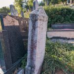 Споменик Малиши Сокићу на гробљу у Рујевцу, Севојно (фото Бојан Радојичић)