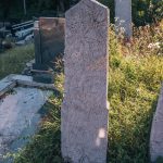 Споменик Радомиру Сокићу на гробљу у Рујевцу, Севојно (фото Бојан Радојичић)