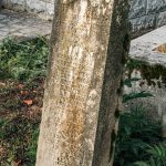 Споменик Недељку Вранићу на гробљу на потесу Ковачевина, Скржути (фото Бојан Радојичић)