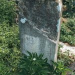 Споменик Недељку Вранићу на гробљу на потесу Ковачевина, Скржути (фото Бојан Радојичић)