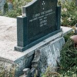 Споменик Савку Ристановићу на гробљу на потесу Ковачевина, Скржути (фото Бојан Радојичић)