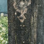 Споменик Обрену Игњатовићу на гробљу на потесу Ковачевина, Скржути (фото Бојан Радојичић)