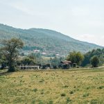 Гробље на потесу Страна, у Скржутима (фото Бојан Радојичић)