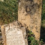 Споменик Драгутину Топаловићу на гробљу на потесу Страна у Скржутима (фото Бојан Радојичић)