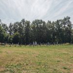 Гробље на Драшковића брду у Трнави (фото Бојан Радојичић)