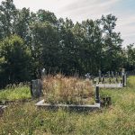 Гробље на Драшковића брду у Трнави (фото Бојан Радојичић)