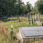 Гробље на Драшковића брду у Трнави (фото Бојан Радојичић)