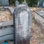 Споменик Мијаилу Драшковићу на гробљу на Драшковића брду у Трнави (фото Бојан Радојичић)