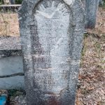 Споменик Мијаилу Драшковићу на гробљу на Драшковића брду у Трнави (фото Бојан Радојичић)