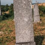Споменик Радисаву Костићу на гробљу у Костићима у Трнави (фото Бојан Радојичић)