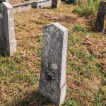 Споменик Радисаву Костићу на гробљу у Костићима у Трнави (фото Бојан Радојичић)