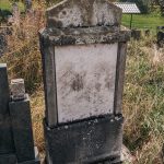 Споменик Стаменку Костићу на гробљу у Костићима у Трнави (фото Бојан Радојичић)