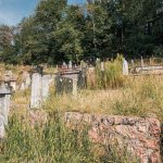 Гробље у Миловићима у Трнави (фото Бојан Радојичић)