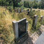 Споменик Манојлу Миловићу на гробљу у Миловићима у Трнави (фото Бојан Радојичић)