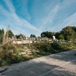 Гробље код Зорине кафане у Трнави (фото Бојан Радојичић)