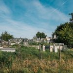 Гробље код Зорине кафане у Трнави (фото Бојан Радојичић)