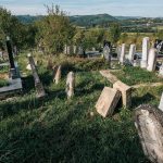 Гробље код Зорине кафане у Трнави (фото Бојан Радојичић)