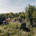 Гробље код Зорине кафане у Трнави (фото Бојан Радојичић)