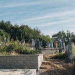 Гробље код Зорине кафане у Трнави (фото Бојан Радојичић)