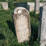 Споменик Ђуру Ђурићу на гробљу код Зорине кафане у Трнави (фото Бојан Радојичић)