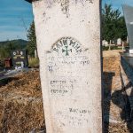 Споменик Војимиру Симићу на гробљу код Зорине кафане у Трнави (фото Бојан Радојичић)