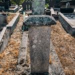 Споменик Војимиру Симићу на гробљу код Зорине кафане у Трнави (фото Бојан Радојичић)