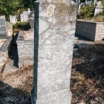 Споменик Марку Марковићу на гробљу код Зорине кафане у Трнави (фото Бојан Радојичић)