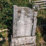 Споменик Драгутину Пузовићу на гробљу код Зорине кафане у Трнави (фото Бојан Радојичић)