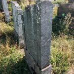 Споменик Драгутину Пузовићу на гробљу код Зорине кафане у Трнави (фото Бојан Радојичић)