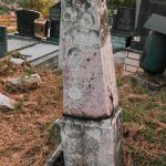 Споменик Сретену Матовићу на гробљу у Врелима, Крчагово (фото Бојан Радојичић)
