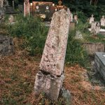 Споменик Сретену Матовићу на гробљу у Врелима, Крчагово (фото Бојан Радојичић)