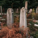 Споменик Живковићима на гробљу у Врелима, Крчагово (фото Бојан Радојичић)