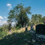 Гробље Врањача у Злакуси (фото Бојан Радојичић)