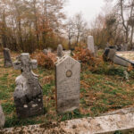 Споменик Драгомиру Ђ. Јањићу на гробљу у Кесеровини, Биоска (фото Бојан Радојичић)