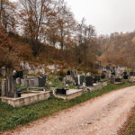 Љубичића гробље на потесу Шаник у Биосци (фото Бојан Радојичић)