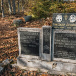 Споменик Велимир Тодоровић на гробљу на Градини, Дрежник (фото Бојан Радојичић)