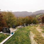 Максимовића гробље у Гостиници (фото Бојан Радојичић)