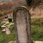 Споменик Станисаву Максимовићу на Максимовића гробљу у Гостиници (фото Бојан Радојичић)