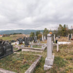 Николића гробље у селу Кремна (фото Бојан Радојичић)