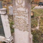 Споменик Радосаву Николићу на Николића гробљу у селу Кремна (фото Бојан Радојичић)