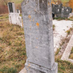 Споменик Добрисаву Николићу на Николића гробљу у селу Кремна (фото Бојан Радојичић)