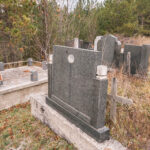 Споменик Петру Милекићу на Николића гробљу у селу Кремна (фото Бојан Радојичић)