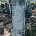 Споменик Јаћиму Селаковићу на гробљу на потесу Поље у Кремнима (фото Бојан Радојичић)