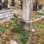 Споменик Љубомиру Арсићу на гробљу у Витасима, у Кремна (фото Бојан Радојичић)