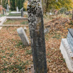 Споменик Глигорију Турудићу на гробљу у Мокрој Гори (фото Бојан Радојичић)