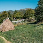 Гробље у Кршању у Мокрој Гори (фото Бојан Радојичић)